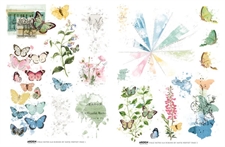 Arden Creative Studio - Field Notes / Rub-On Transfer 6x8" 